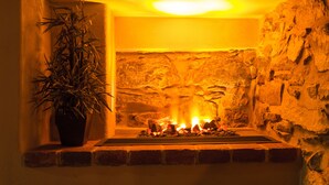 A stone fireplace with a fire, a potted plant, and a radiator. - Boutique Pension Ametyst (Cesky Krumlov)
