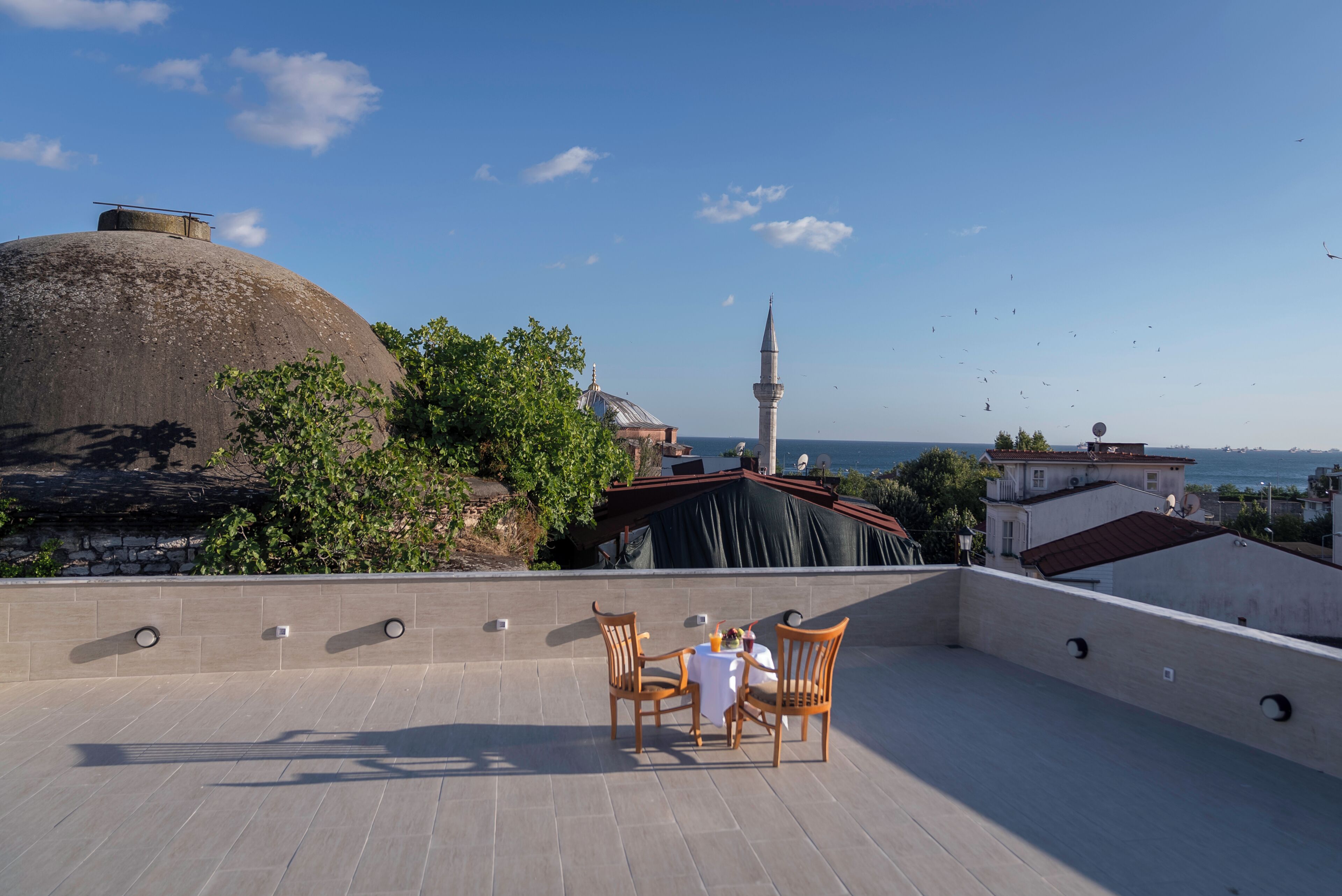 Terras