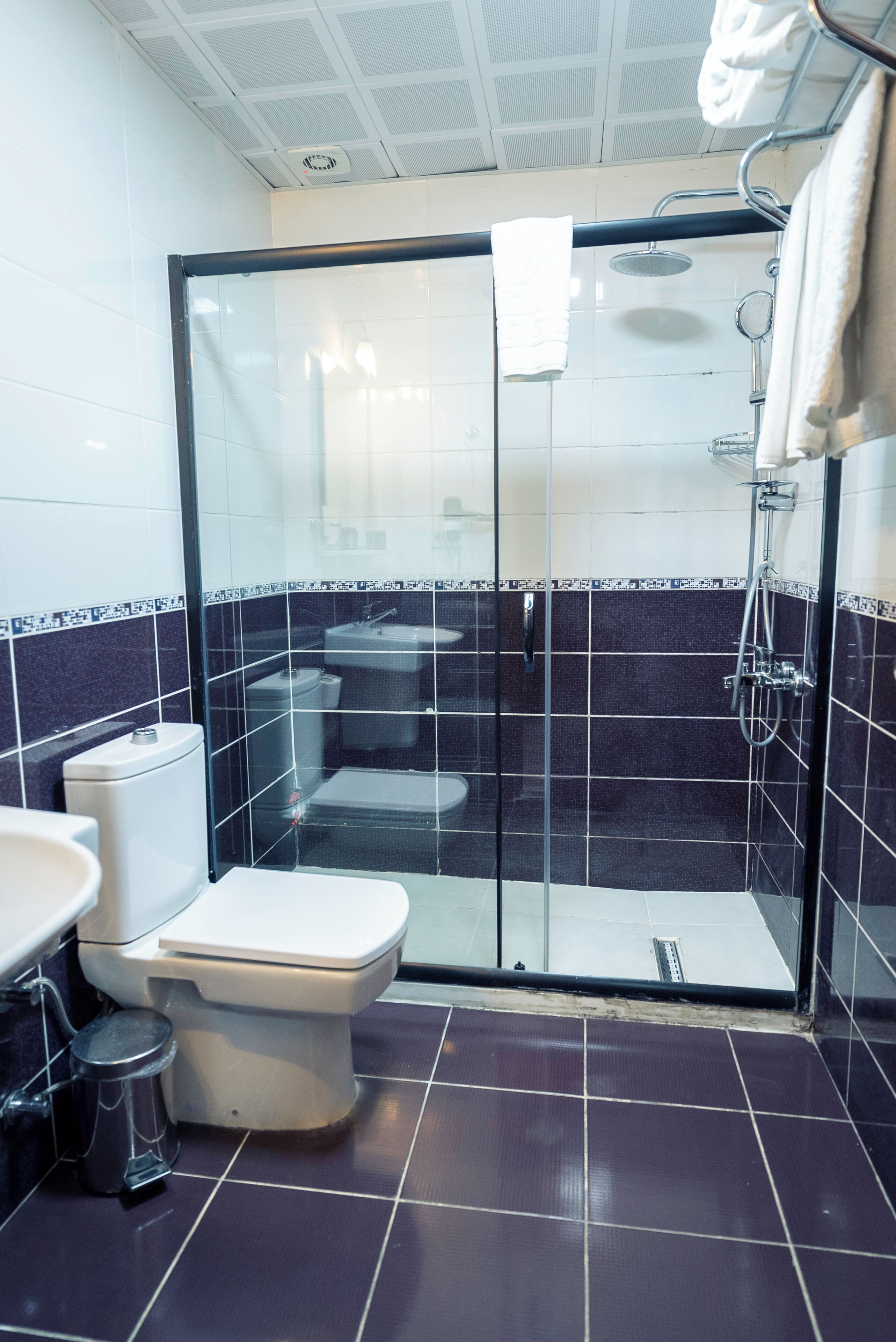 A modern bathroom with a glass-enclosed shower, a toilet, and a sink.