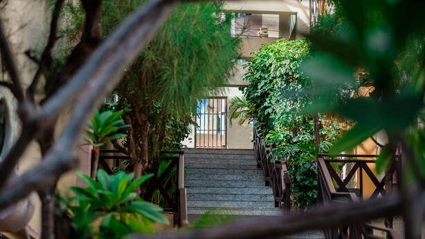 Una escalera rodeada de abundante vegetación que conduce a un edificio con puerta de cristal.