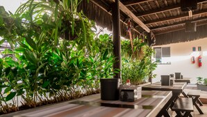 Un espacio al aire libre con techo, mesas y bancos de madera, rodeado de abundante vegetación.
