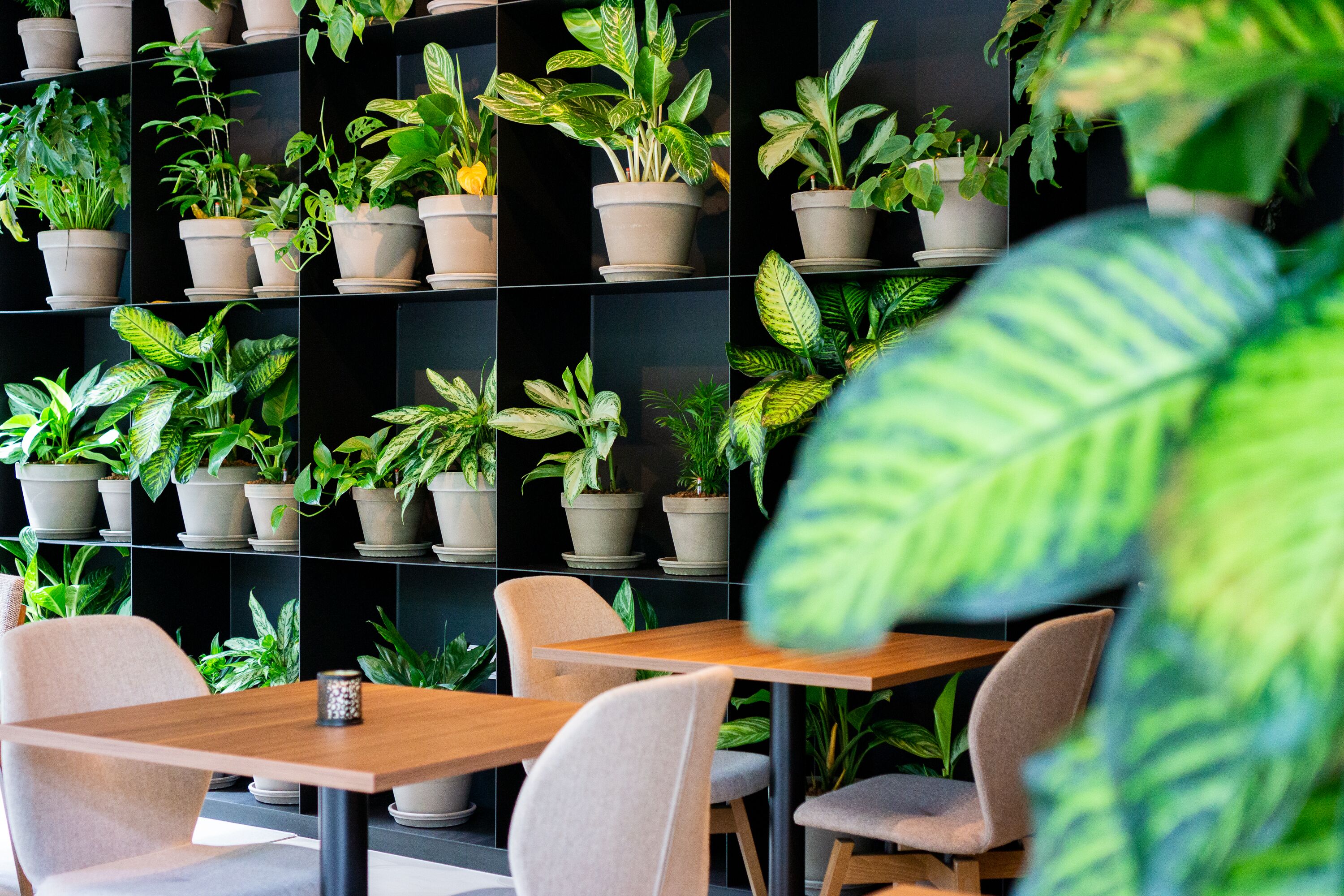 breakfast, lunch, dinner served; garden views