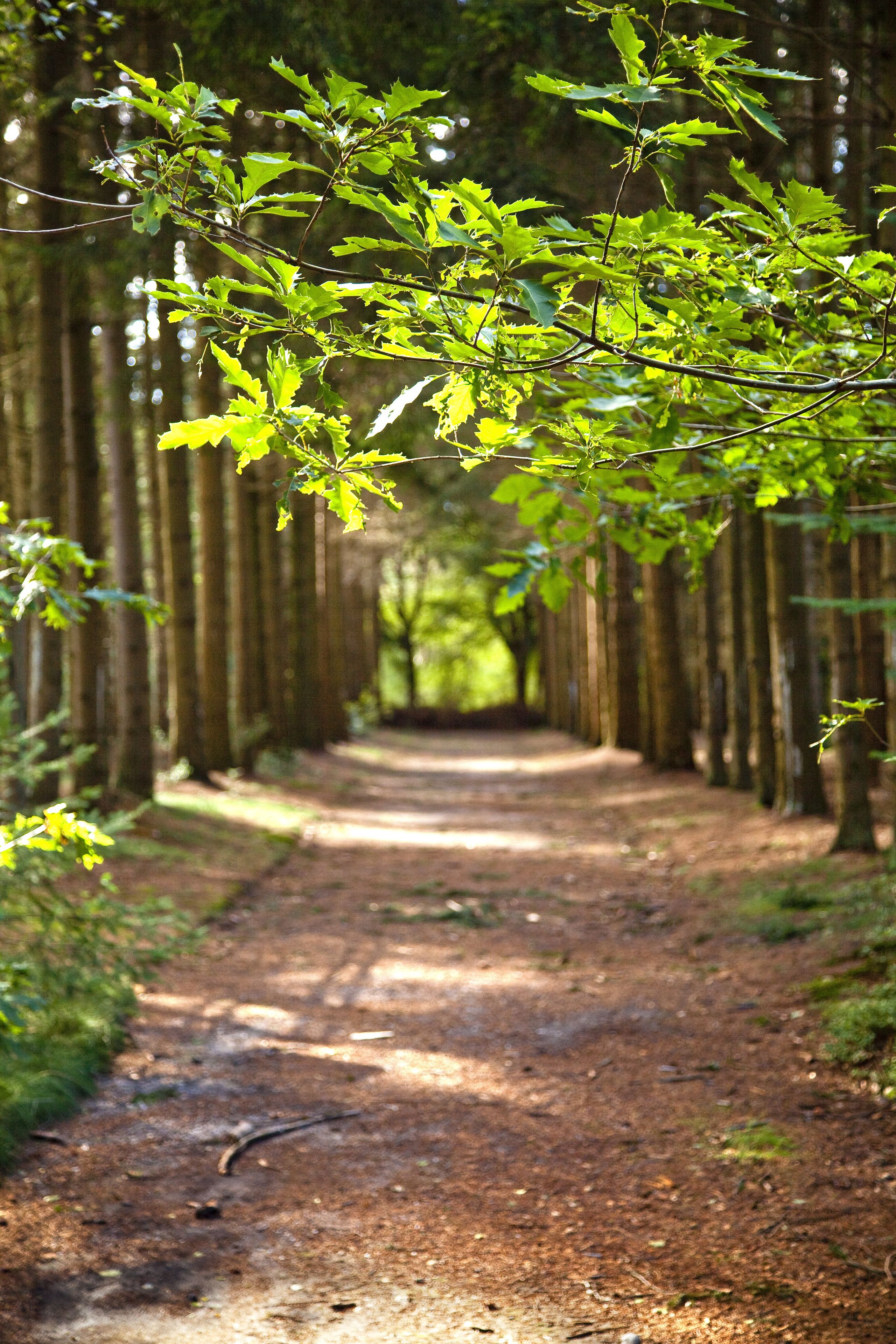 Photo - Hotel Kontakt der Kontinenten