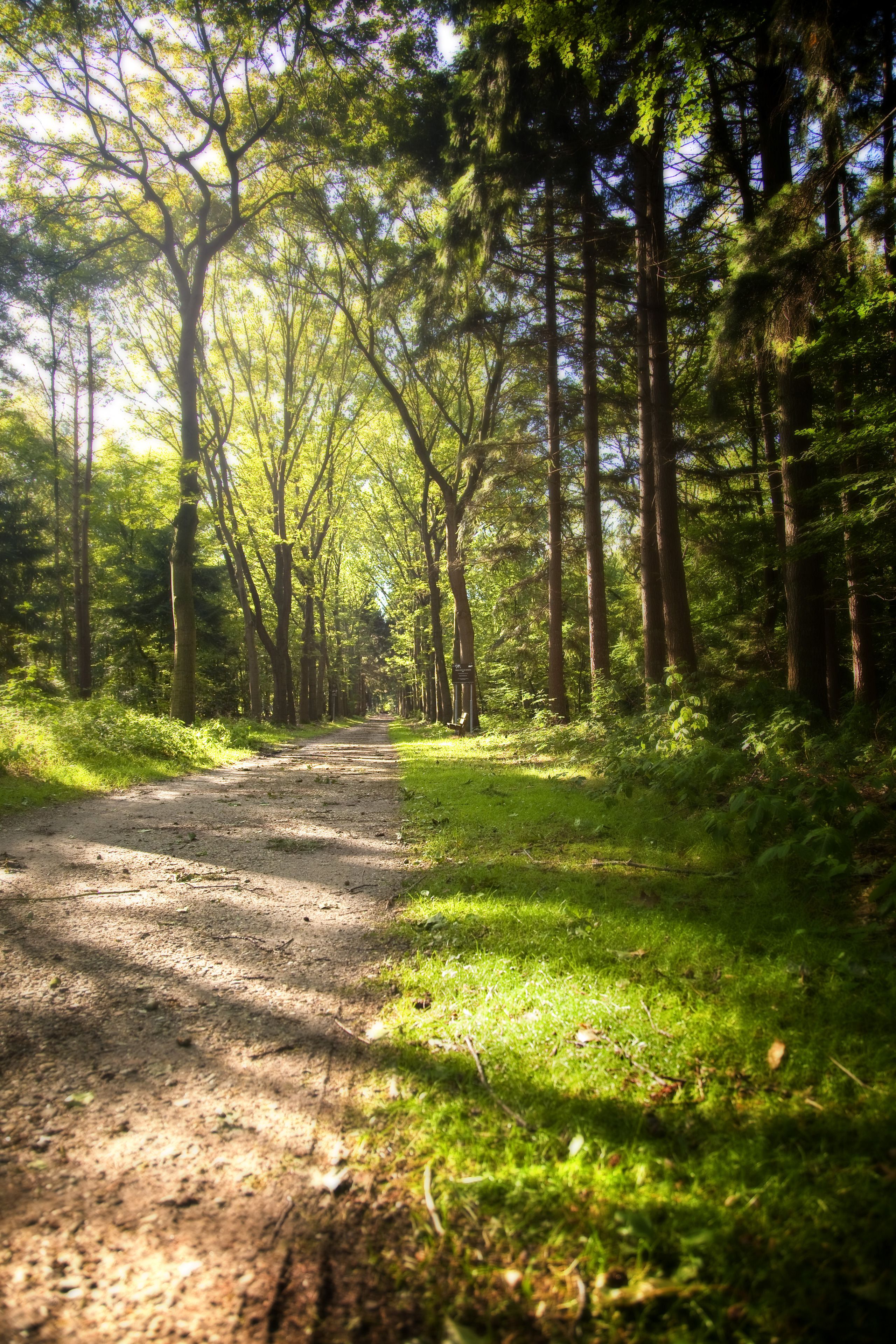 Photo - Hotel Kontakt der Kontinenten