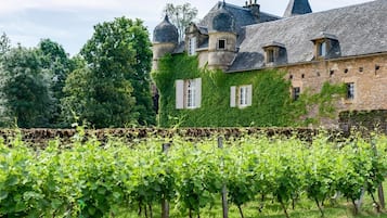 A vineyard with rows of grapevines in front of a historic stone building with a tower and multiple windows.