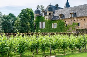 A vineyard with rows of grapevines in front of a historic stone building with a tower and multiple windows. - Château de Labro (Onet-le-Chateau)