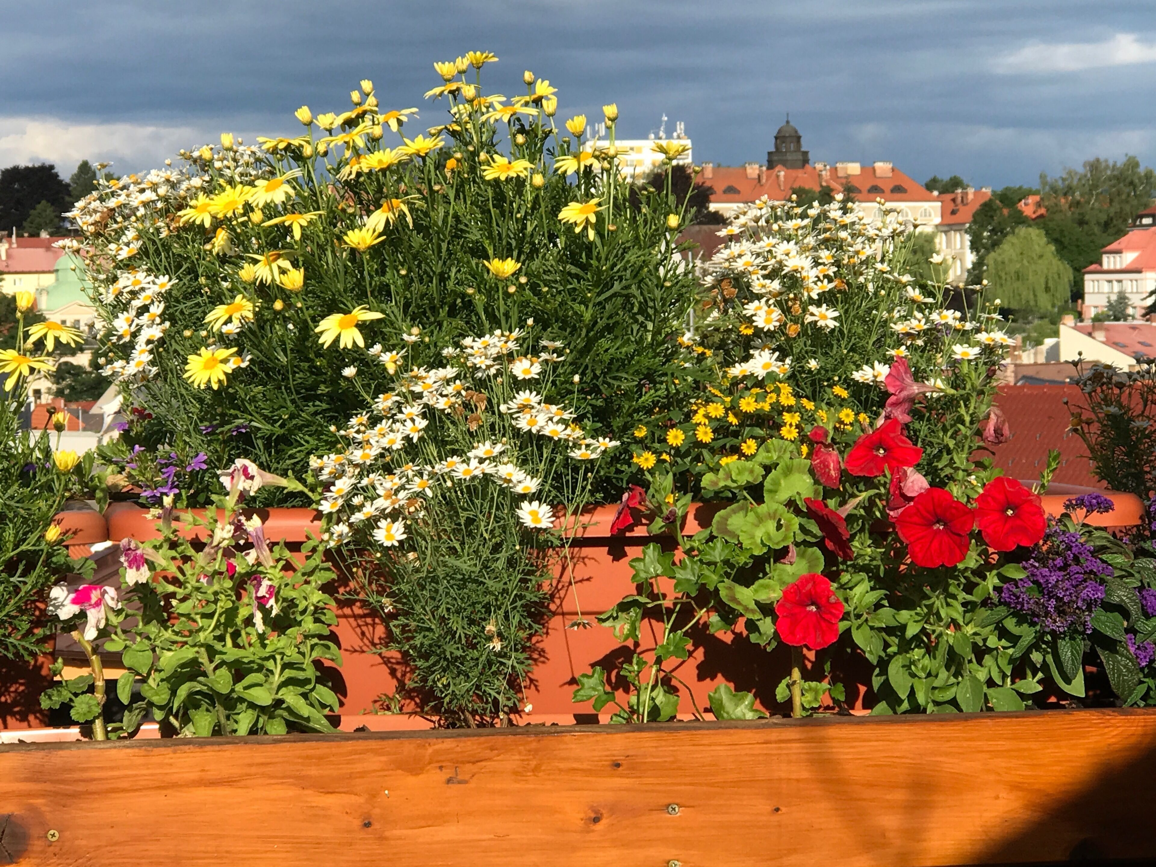 presidential apartment, 2 bedrooms, patio, city view (suite 10) | balcony view