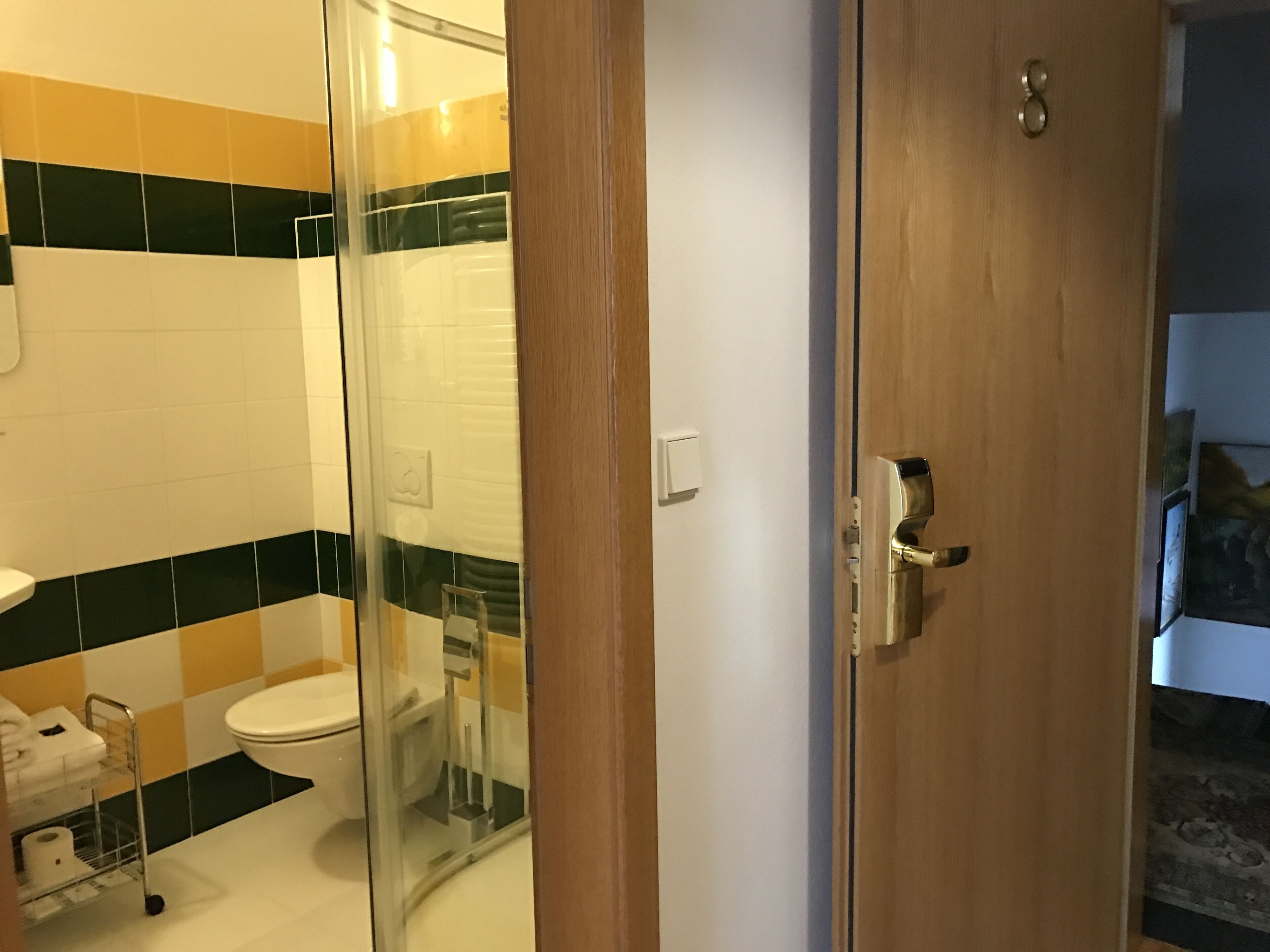 A bathroom with a toilet, a glass shower enclosure, and a wooden door.