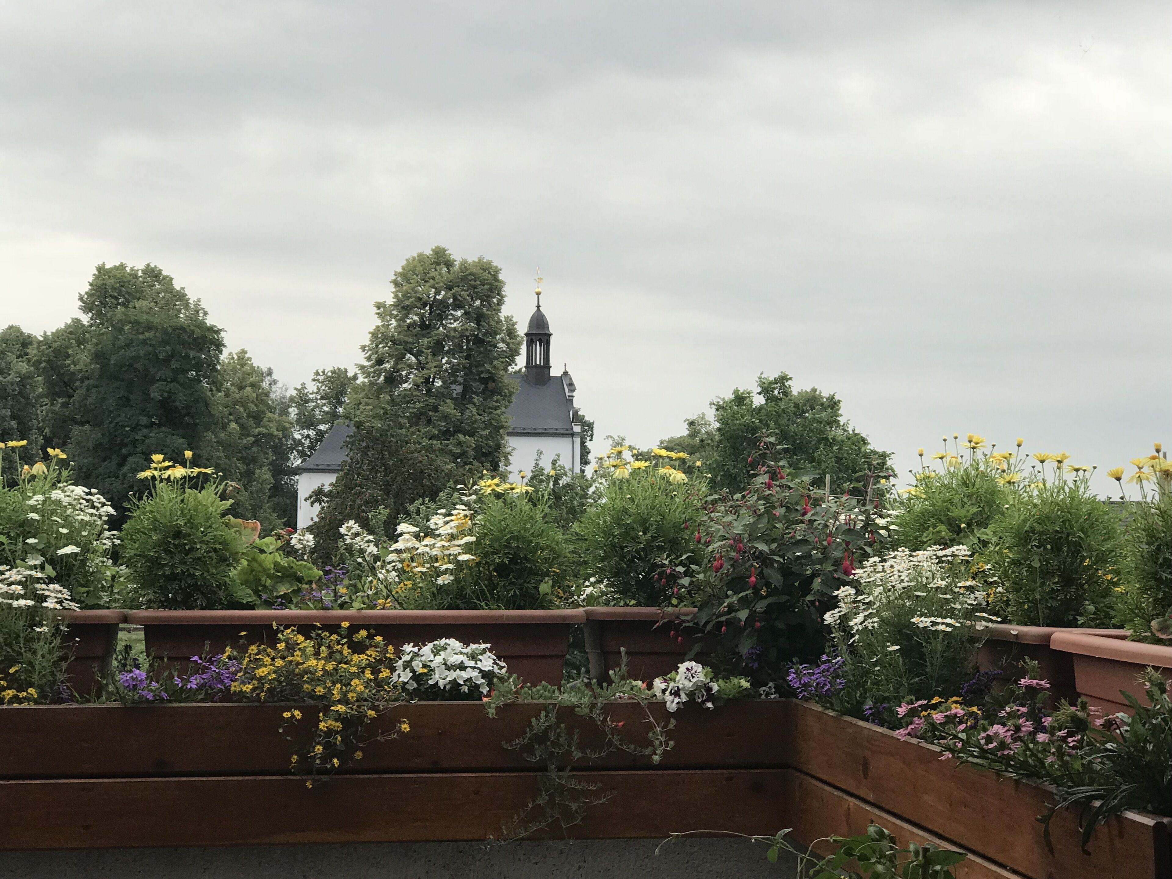 Un jardin avec différentes sortes de fleurs et un bâtiment doté d’une tour en arrière-plan.