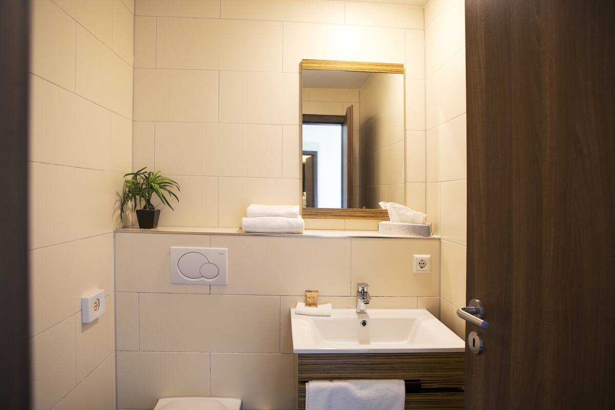 double room | bathroom sink