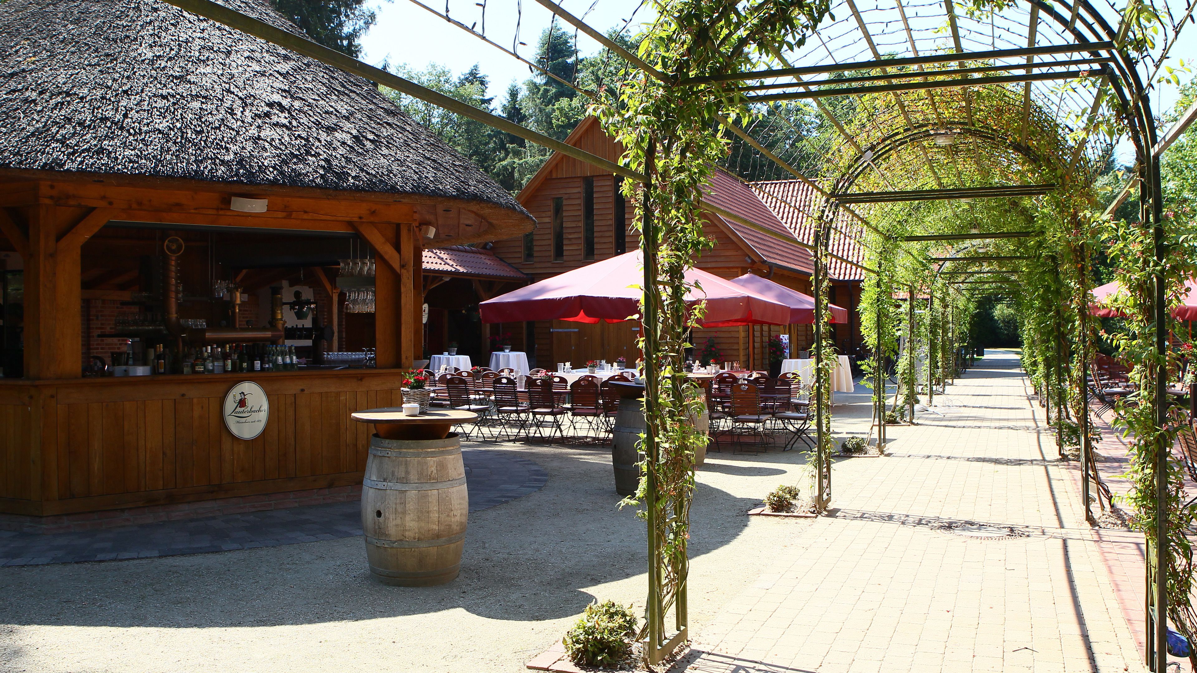 lunch and dinner served, regional cuisine