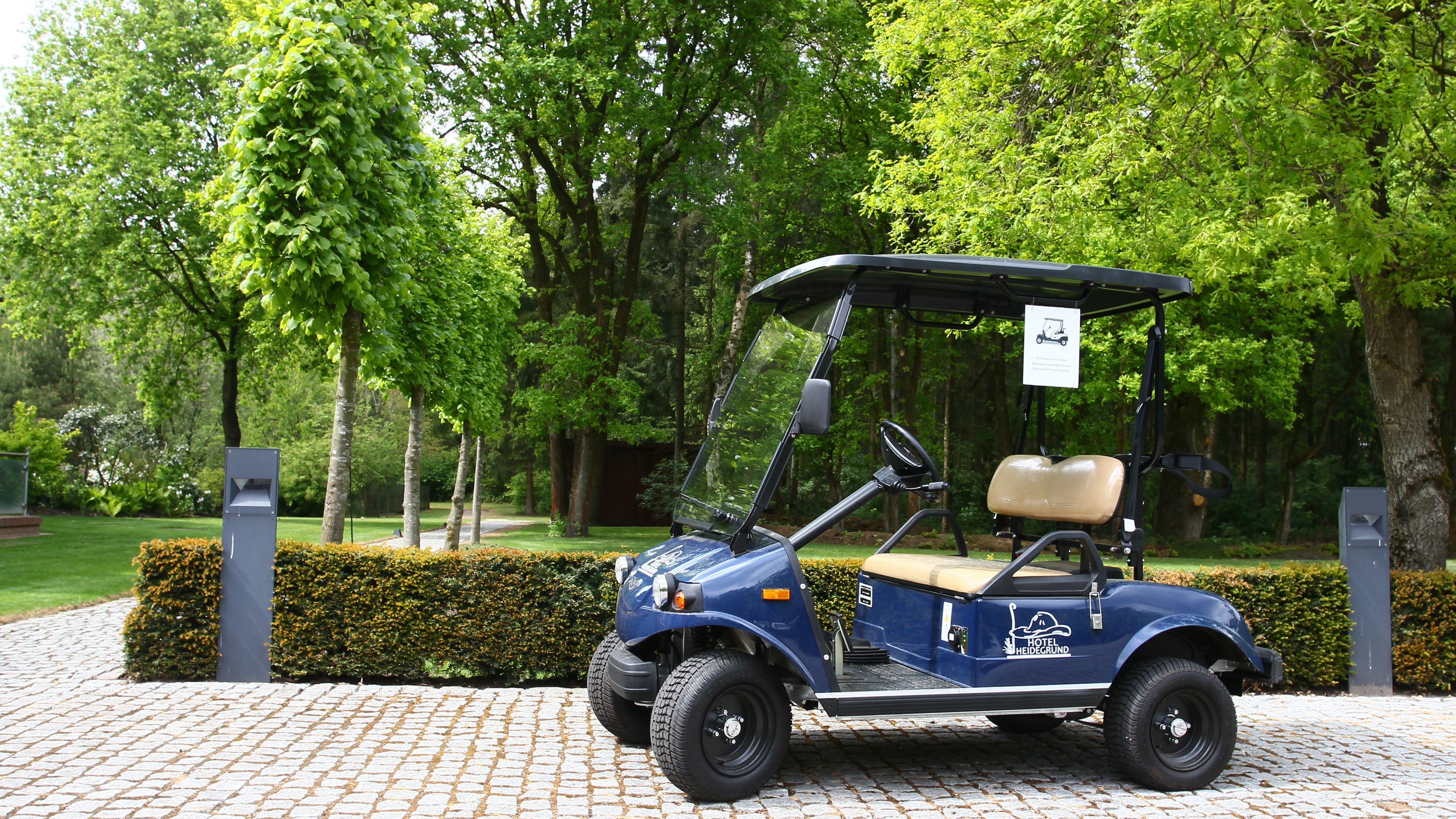 Ein Golfwagen steht auf einem Kopfsteinpflasterweg in einem Park mit üppigem Grün und Bäumen im Hintergrund.