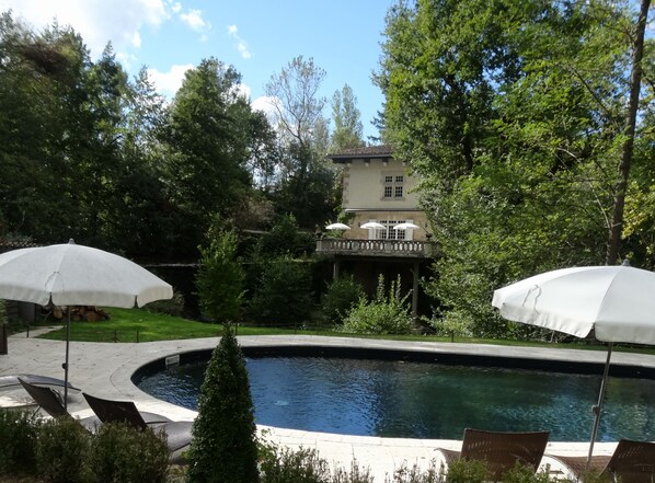 Una piscina con sillones de descanso y sombrillas, rodeada de exuberante vegetación y un edificio con terraza.