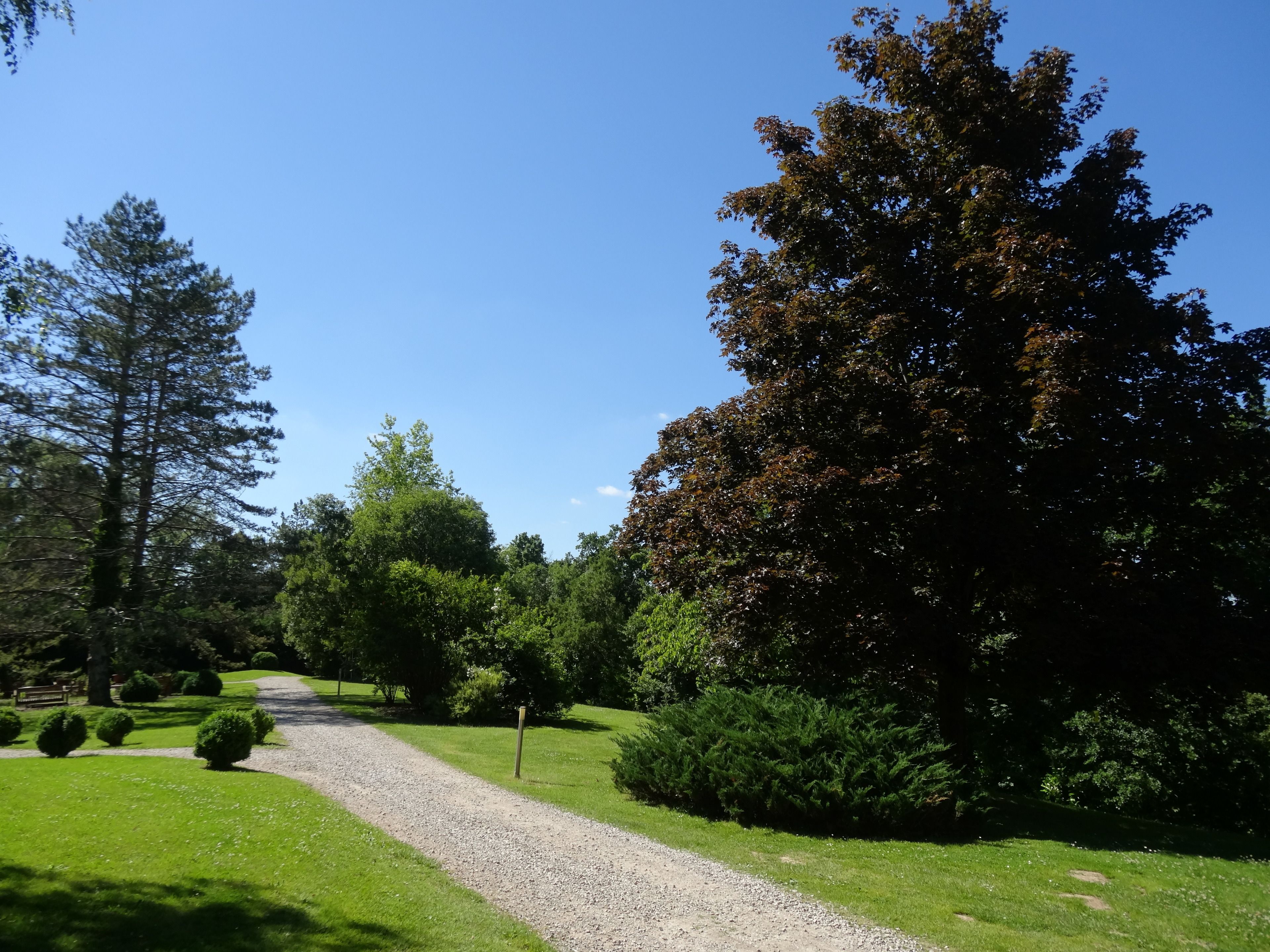 Un sendero de grava serpentea por un parque con diversos árboles y arbustos.