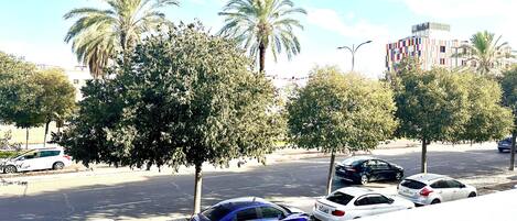 A street view with parked cars, palm trees, and a building in the background.