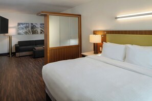 Suite, 1 King Bed with Sofa bed