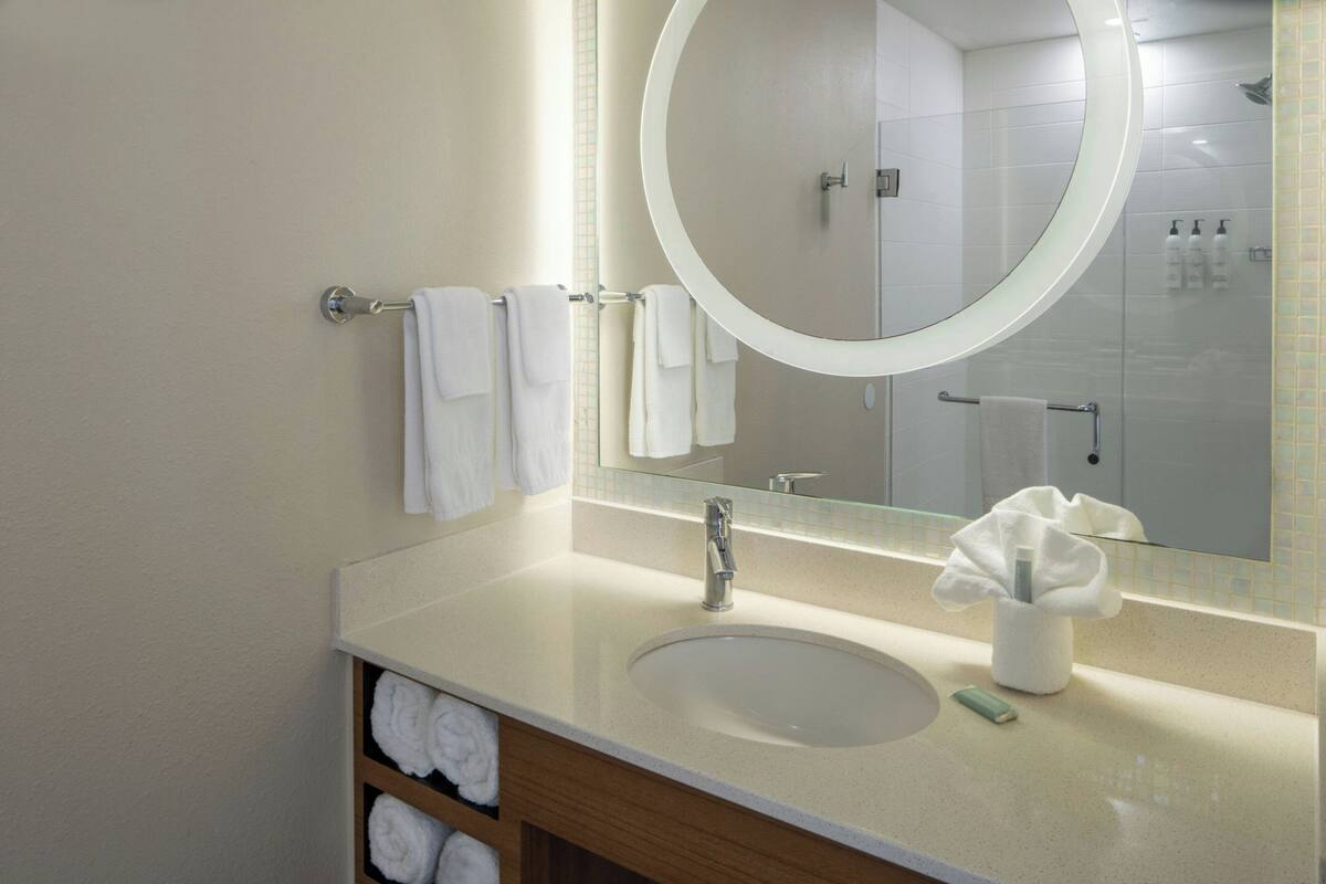 suite, 1 king bed with sofa bed | bathroom | free toiletries, hair dryer, towels