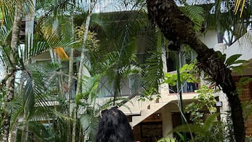 Ngoại thất