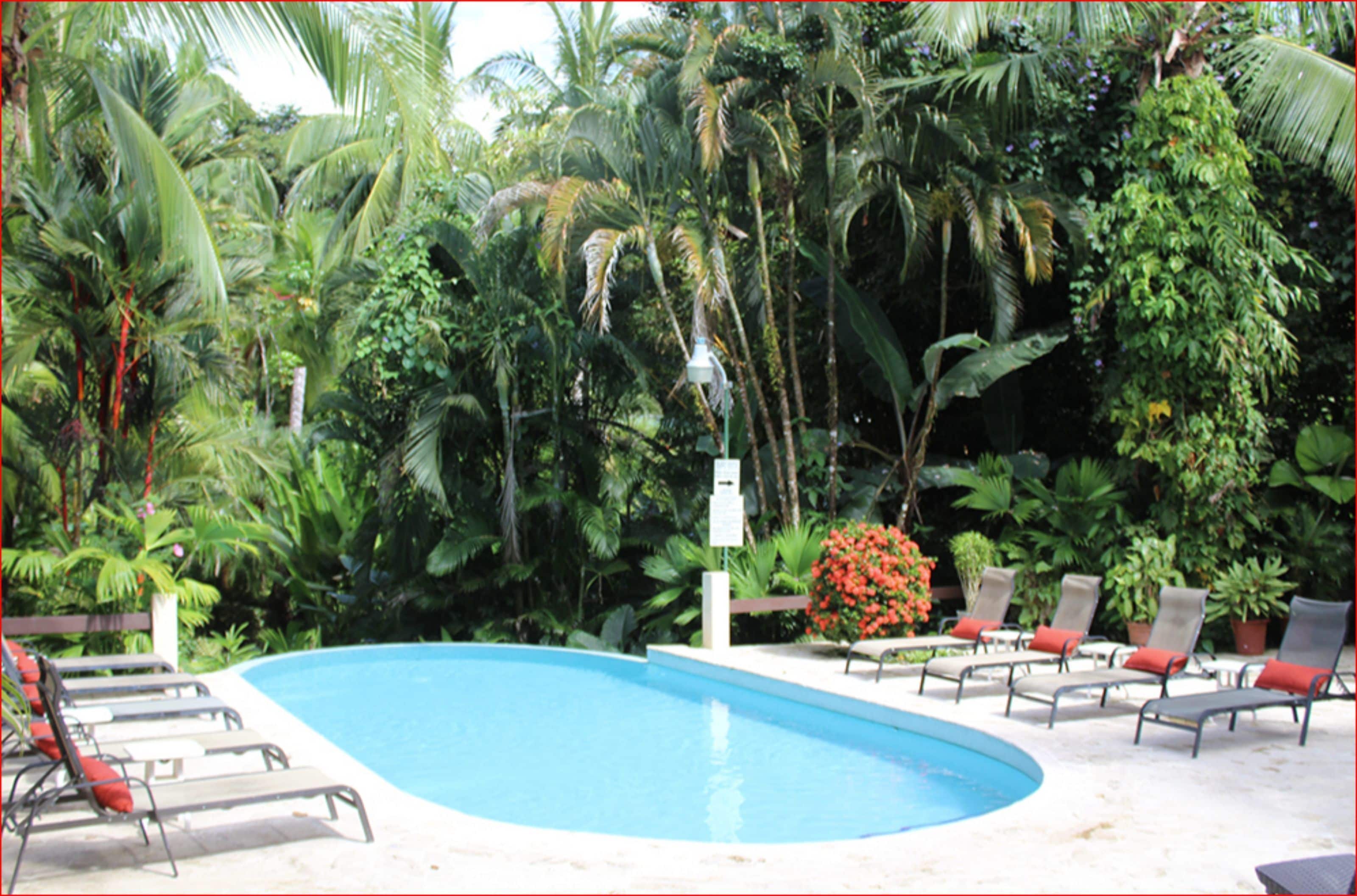 Un espace piscine agrémenté de chaises longues et d’une végétation tropicale.