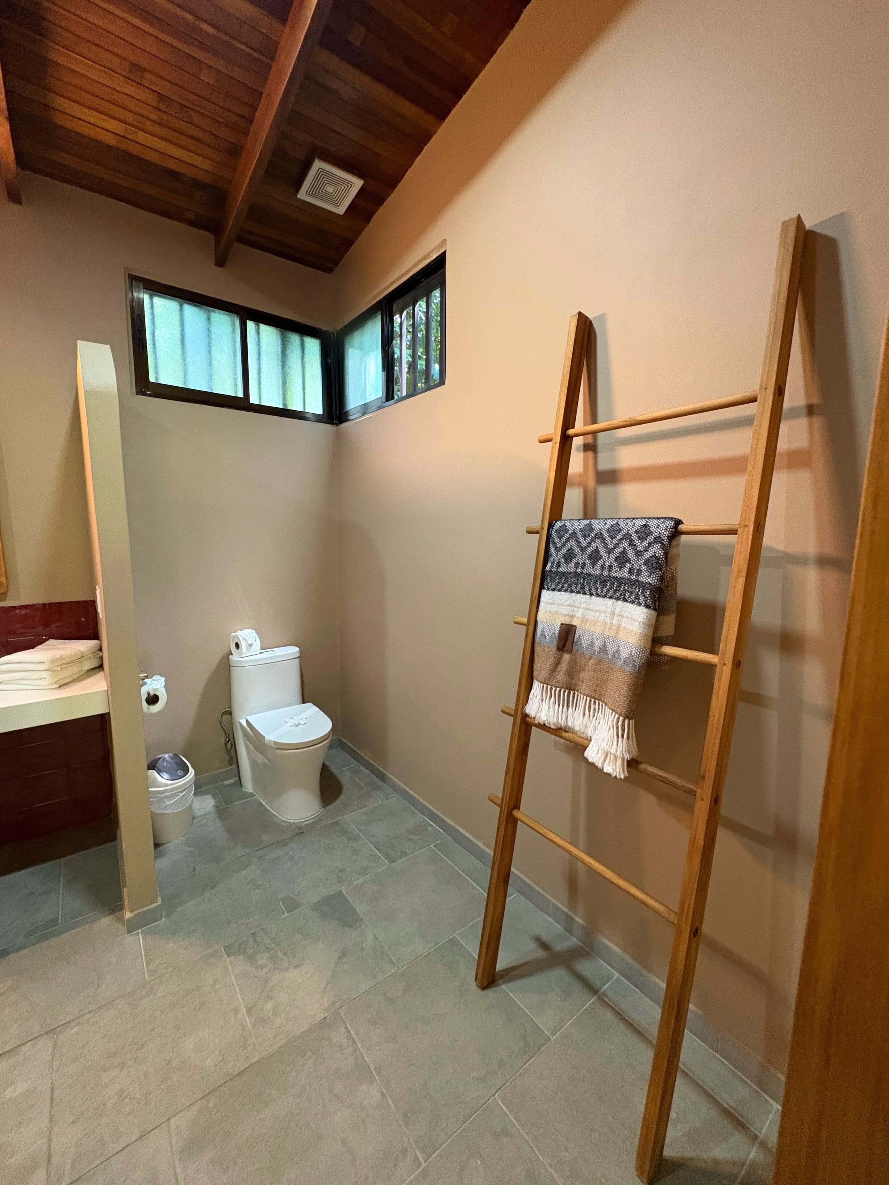 A small bathroom with a toilet, a wooden ladder, a towel rack, and a window.