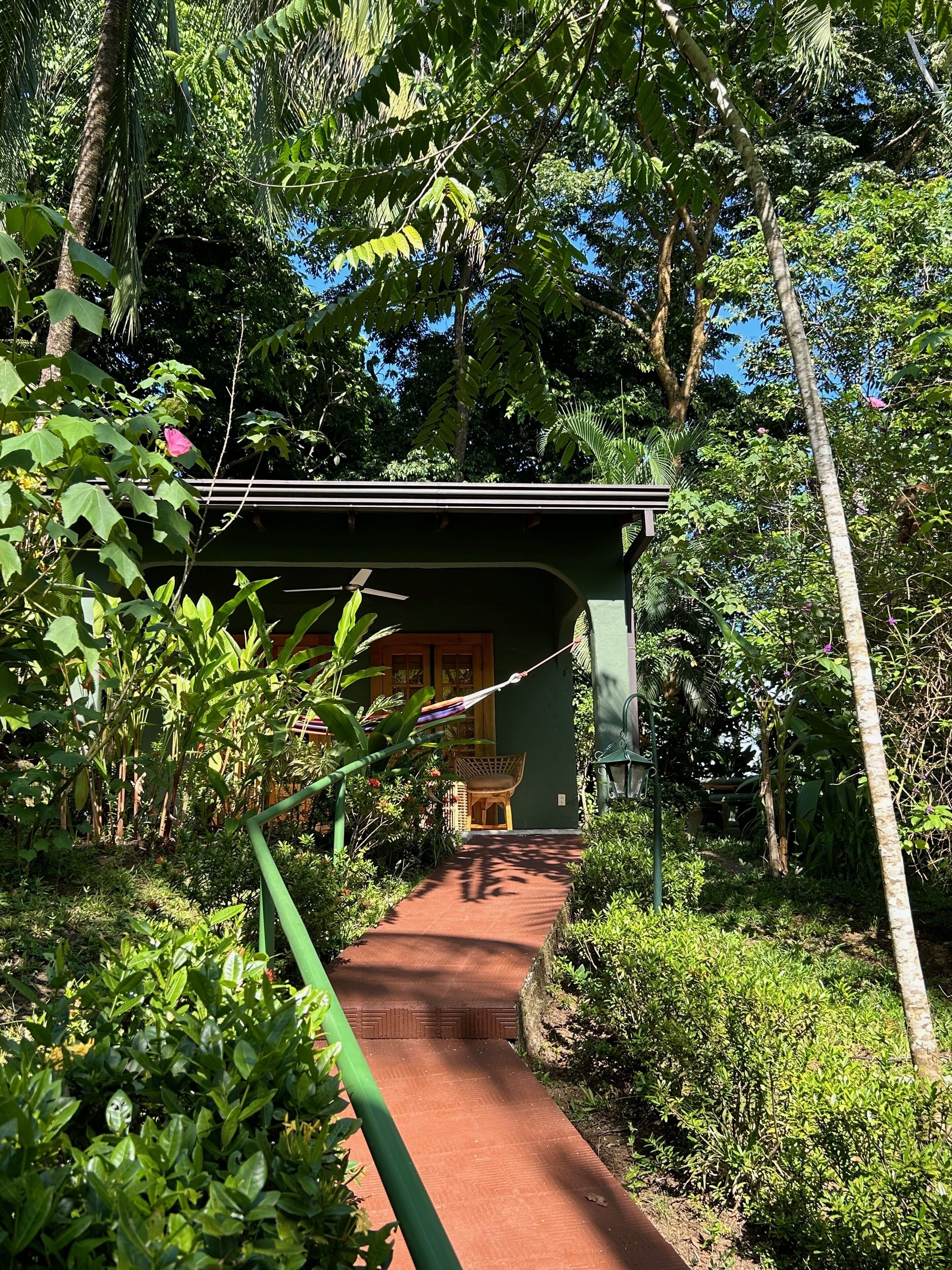 Un chemin menant à un bâtiment doté d’un toit végétalisé, entouré d’une végétation luxuriante et d’arbres.