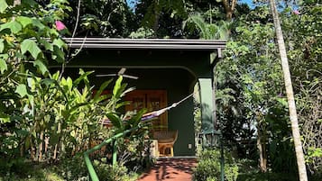 Un chemin menant à un bâtiment doté d’un toit végétalisé, entouré d’une végétation luxuriante et d’arbres.