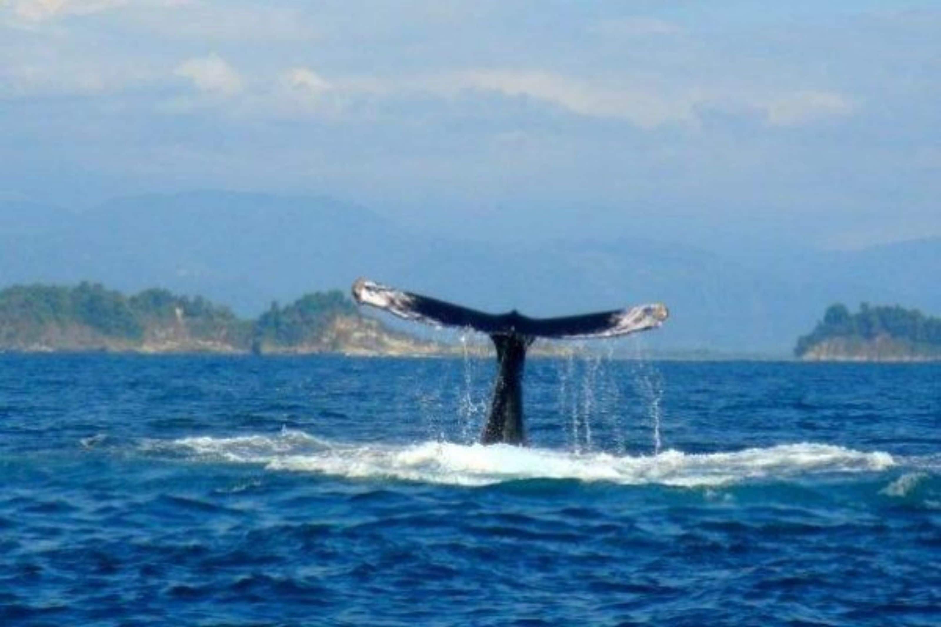 beach nearby, white sand, beach towels