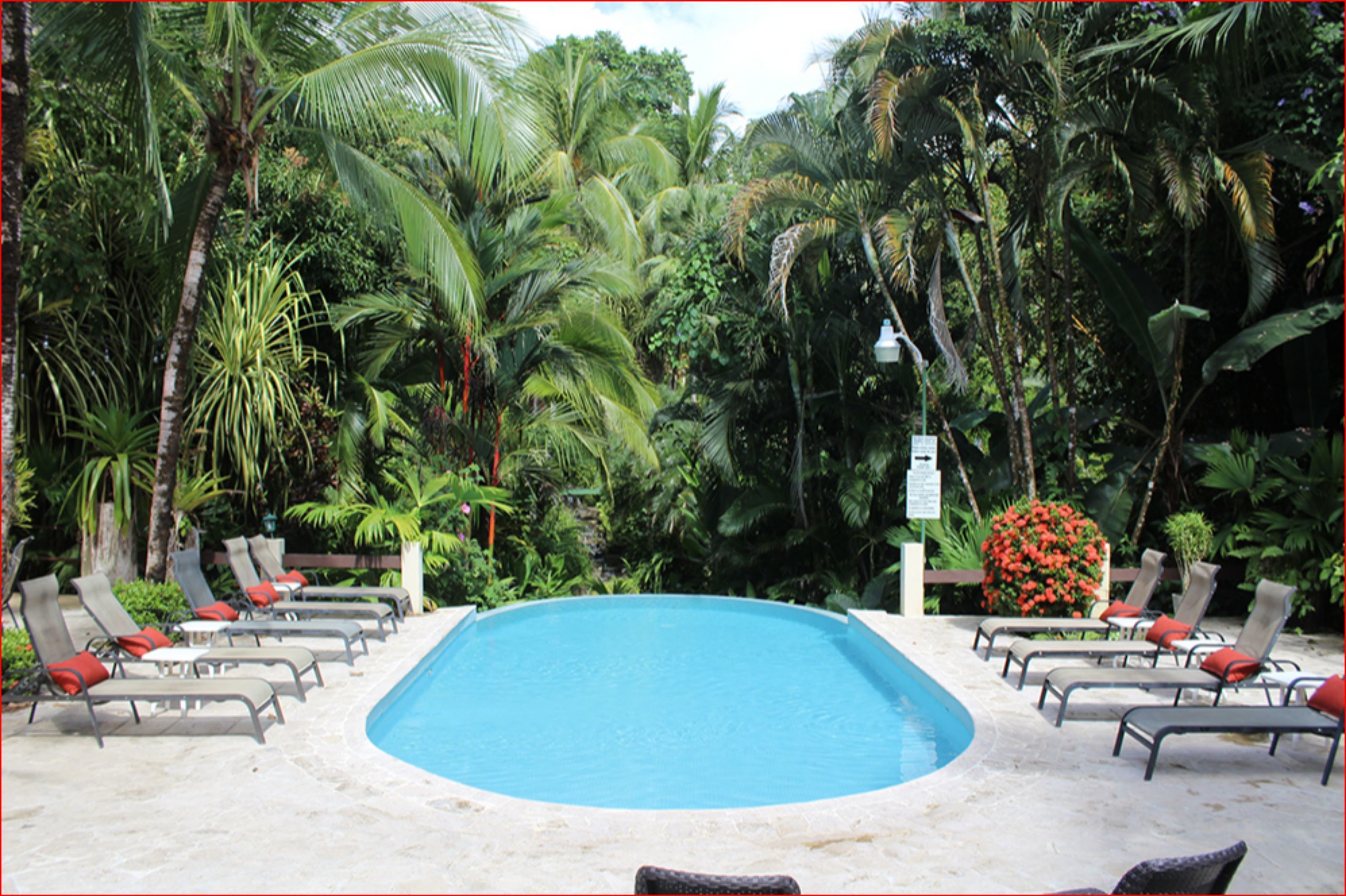 A pool surrounded by lounge chairs with red cushions, set against a backdrop of dense tropical foliage.