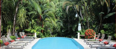 A pool surrounded by lounge chairs with red cushions, set against a backdrop of dense tropical foliage.