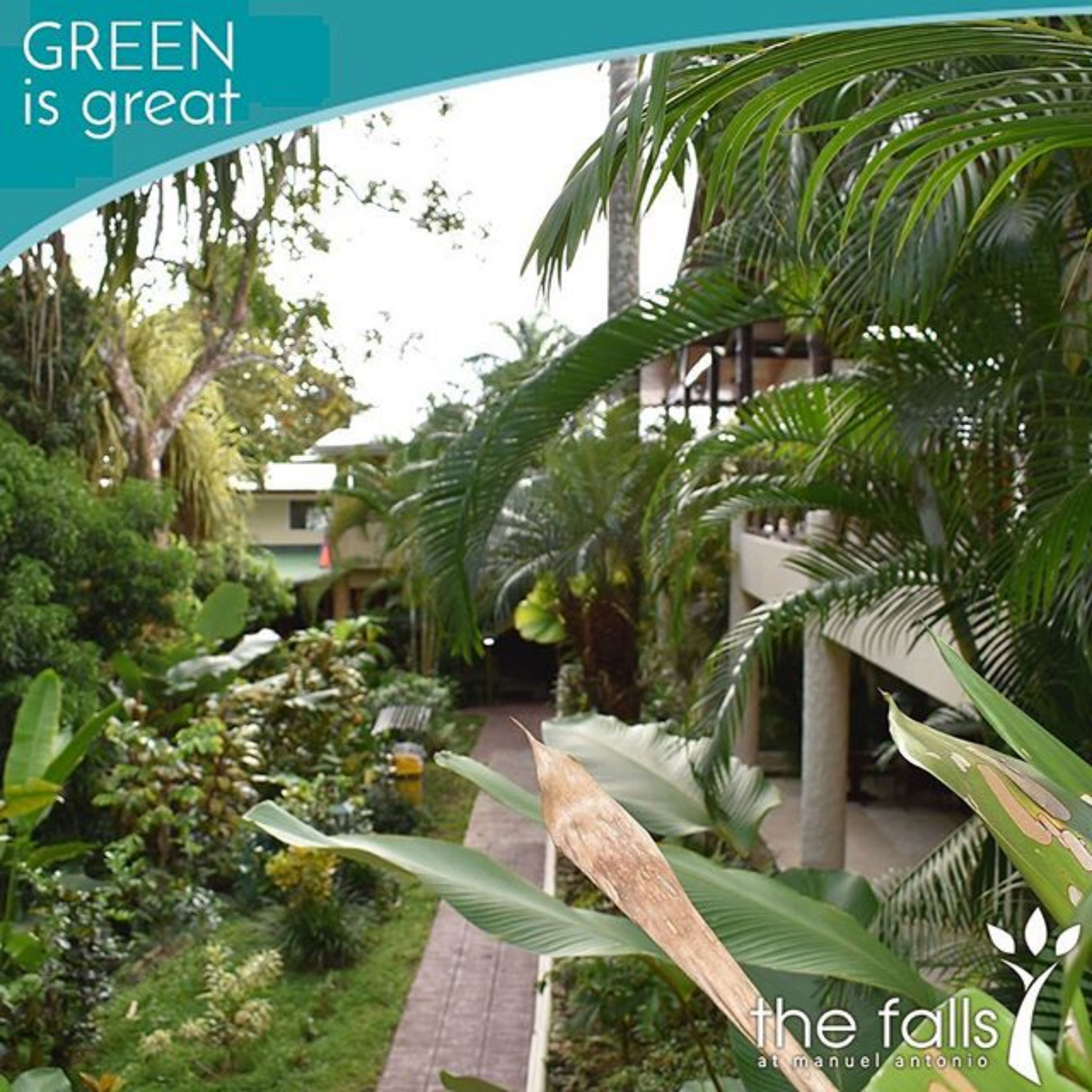 Photo - The Falls at Manuel Antonio