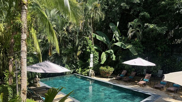 A clear swimming pool surrounded by lounge chairs and umbrellas, with dense tropical foliage in the background.