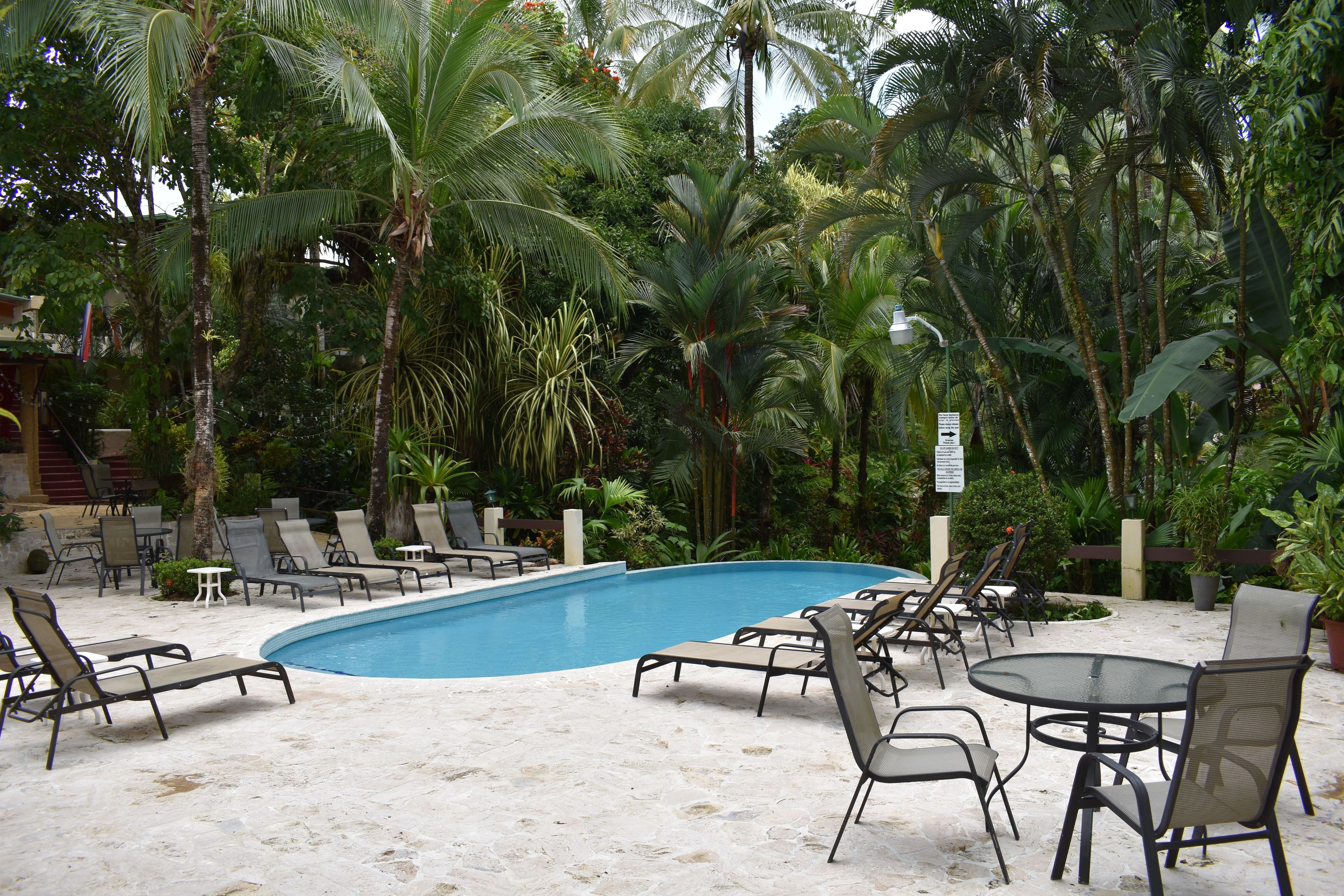 A pool area with lounge chairs and a small table, surrounded by palm trees and greenery.
