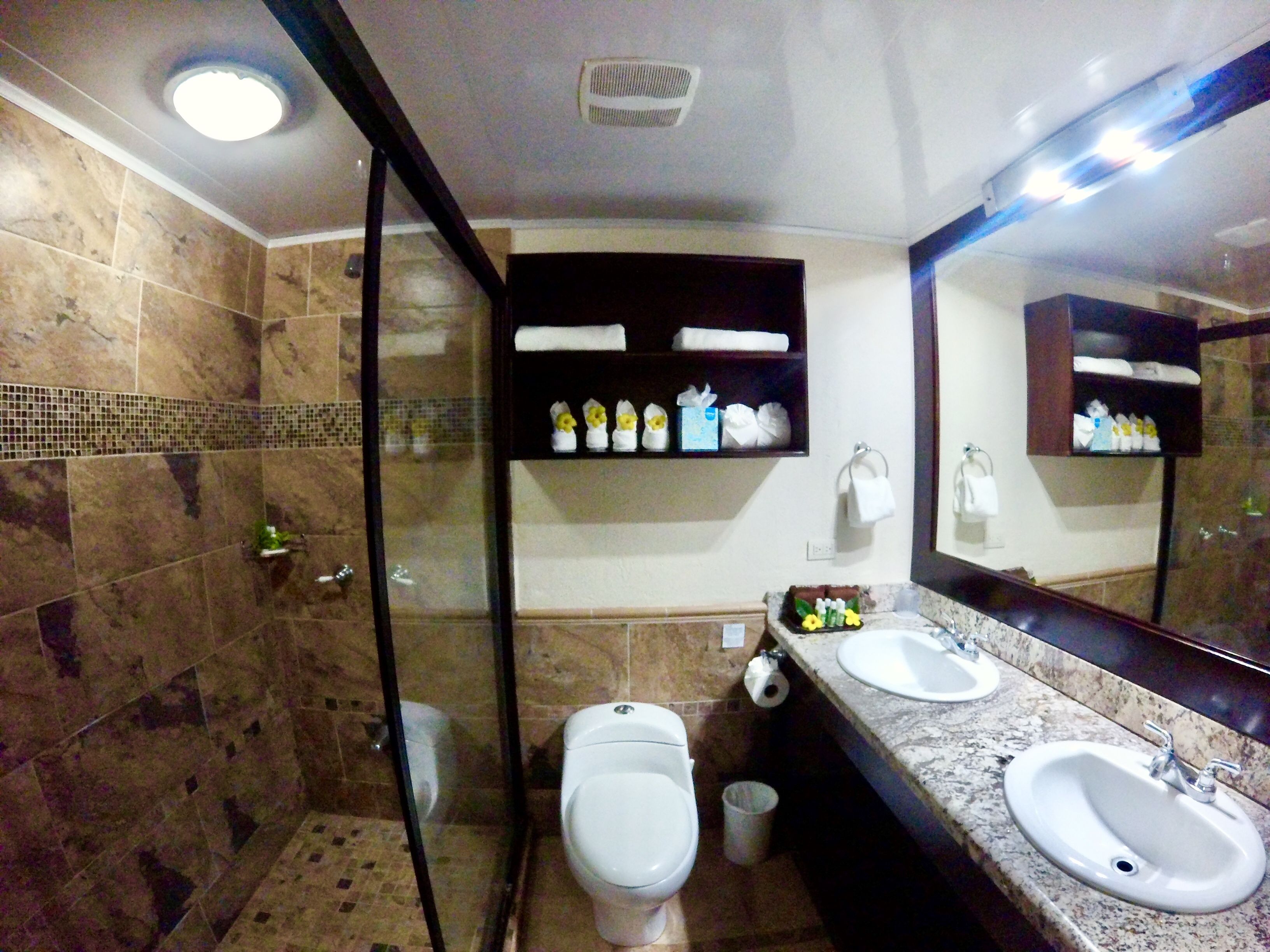 shower, free toiletries, towels