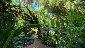 A lush garden pathway surrounded by dense tropical foliage and palm trees.