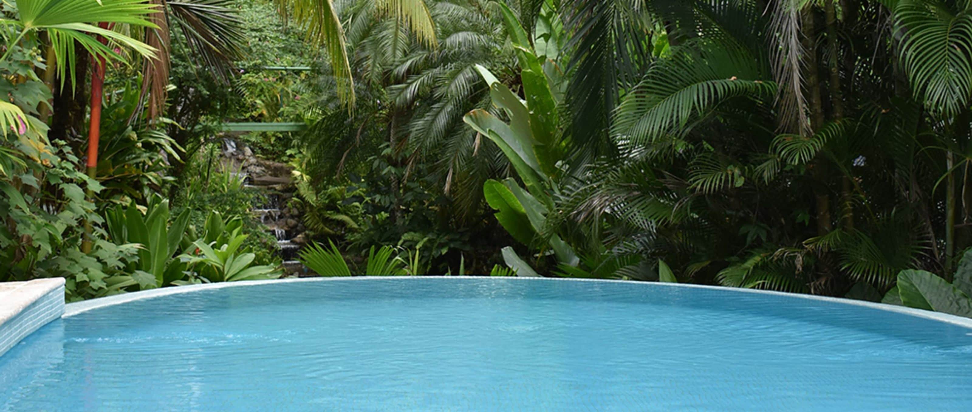 Ein Pool, umgeben von üppiger tropischer Vegetation.