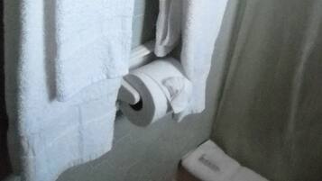 A bathroom with a toilet, a towel hanging on the wall, and a trash bin.