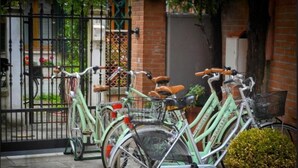 Een rij fietsen geparkeerd voor een gebouw met een bakstenen muur en een metalen hek.