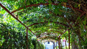 Un chemin pavé de briques, bordé d’une pergola couverte de plantes grimpantes, mène à l’entrée d’un bâtiment.