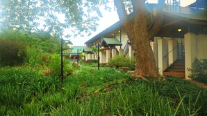 A building with a covered outdoor area, surrounded by lush greenery and a large tree.