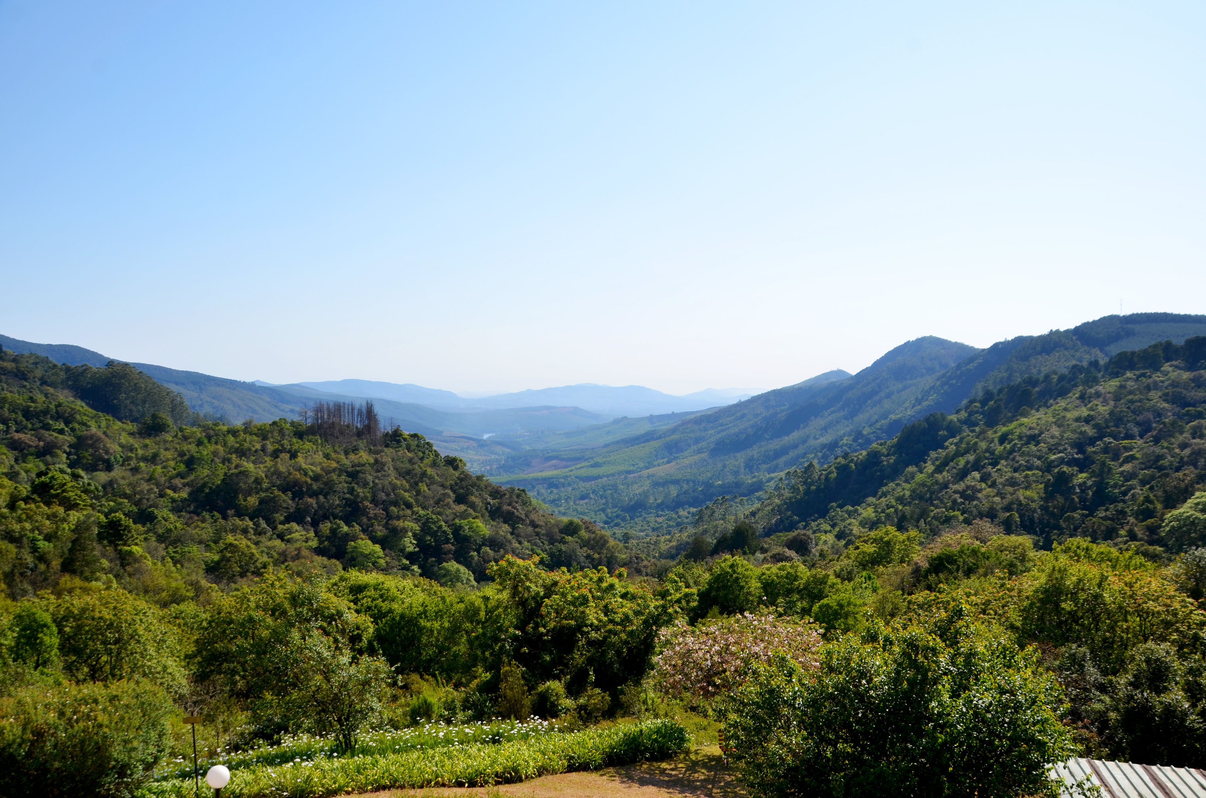 Un paisaje montañoso con abundante vegetación y cielo despejado.