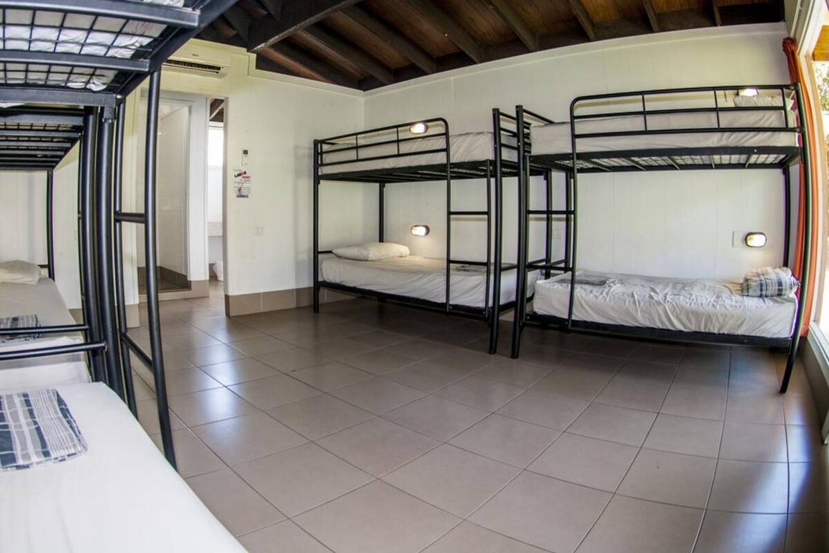 A dormitory room with bunk beds, a small kitchenette, and a window with curtains.