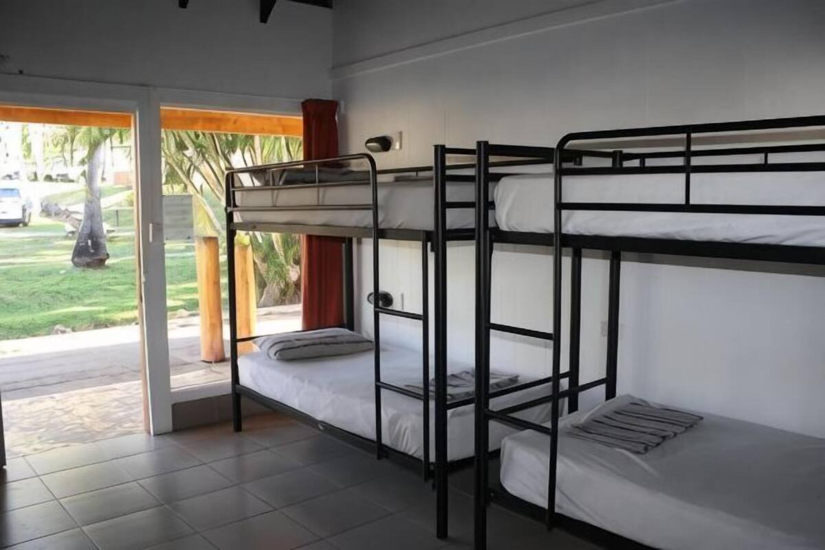 A bunk bed room with a view of a garden and a parked car outside.