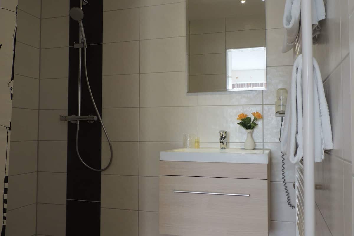 shower, free toiletries, hair dryer, bathrobes