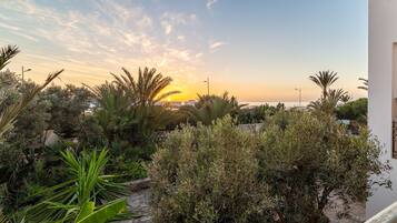 Un giardino con diverse piante e un sentiero in pietra.