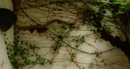 Simple & Charming Hotel Bed & Breakfast