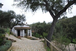 المنطقة المحيطة بالمنشأة