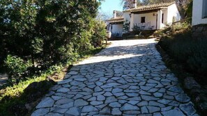 Property grounds - Finca Valbono (Aracena)