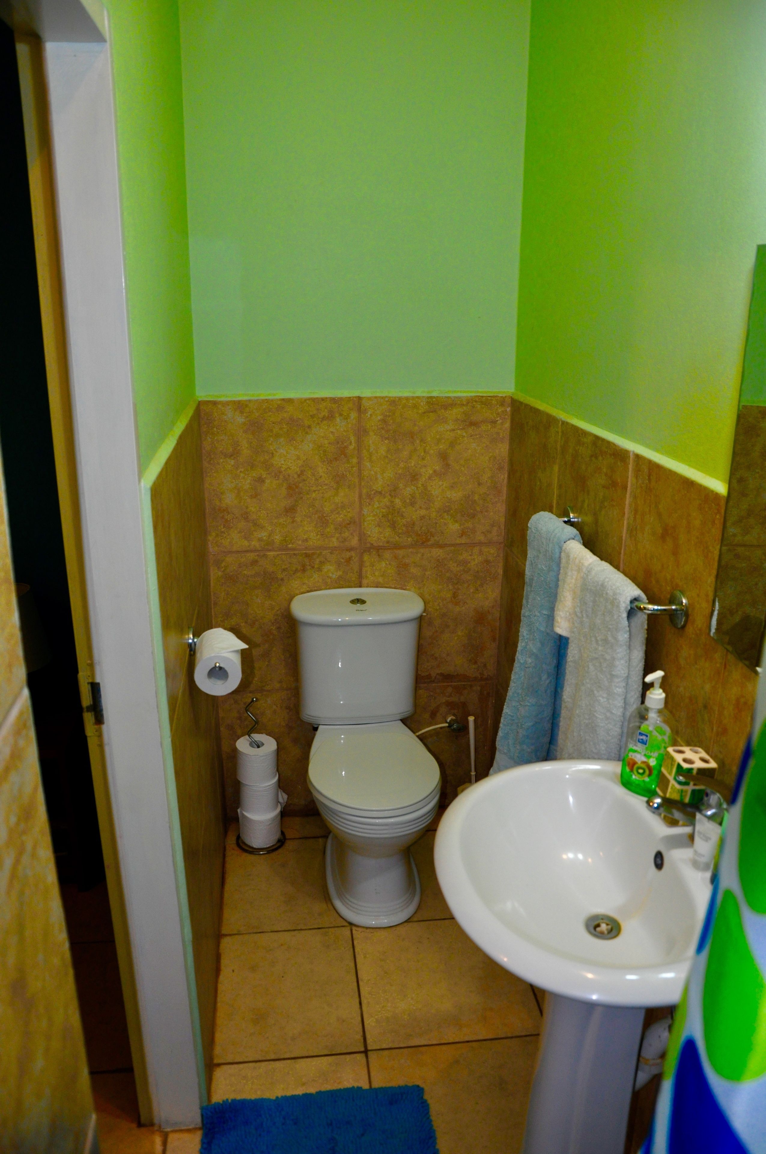 A bathroom with a toilet, sink, and green walls.