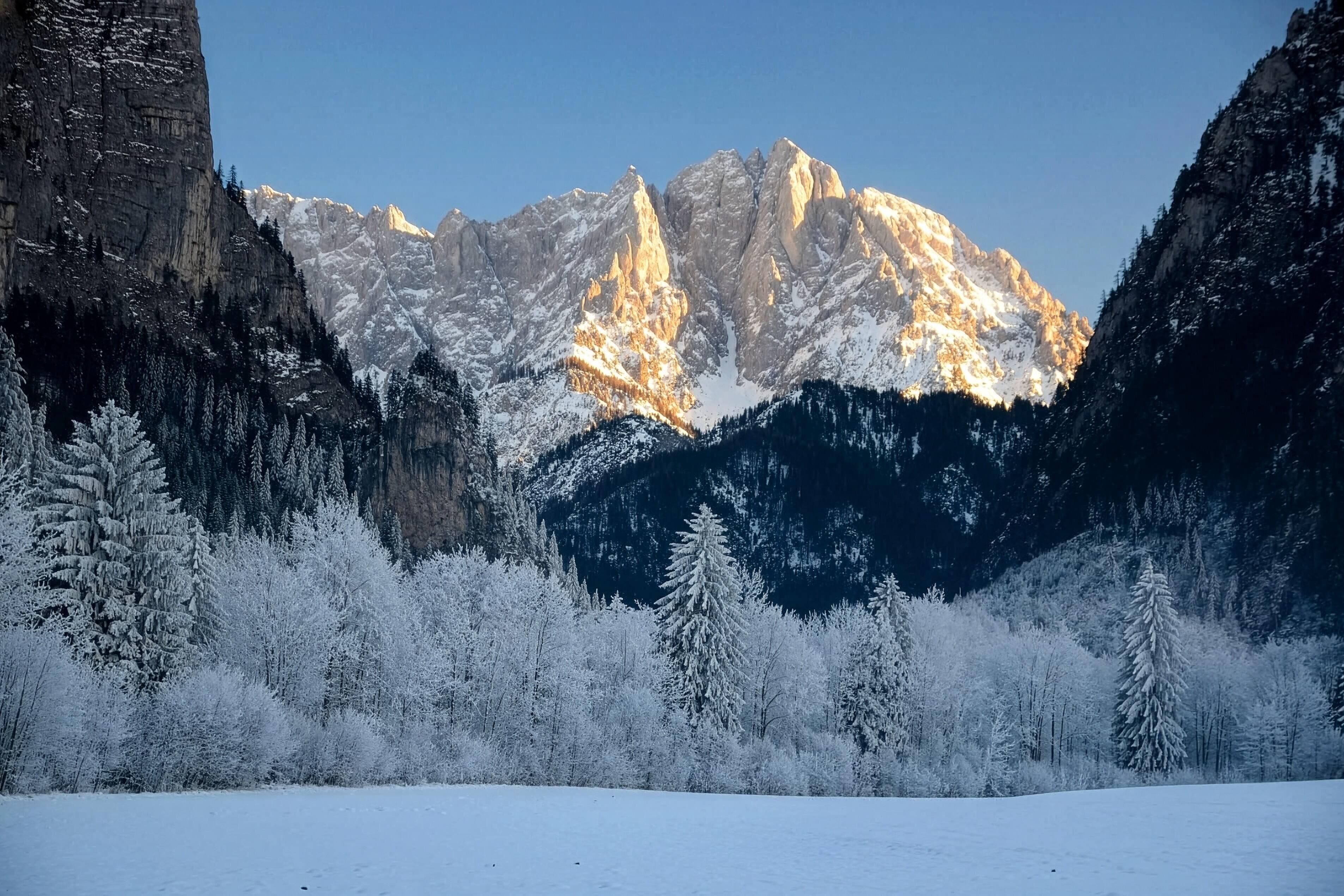 Un paysage montagneux, avec des arbres couverts de neige et un ciel dégagé.