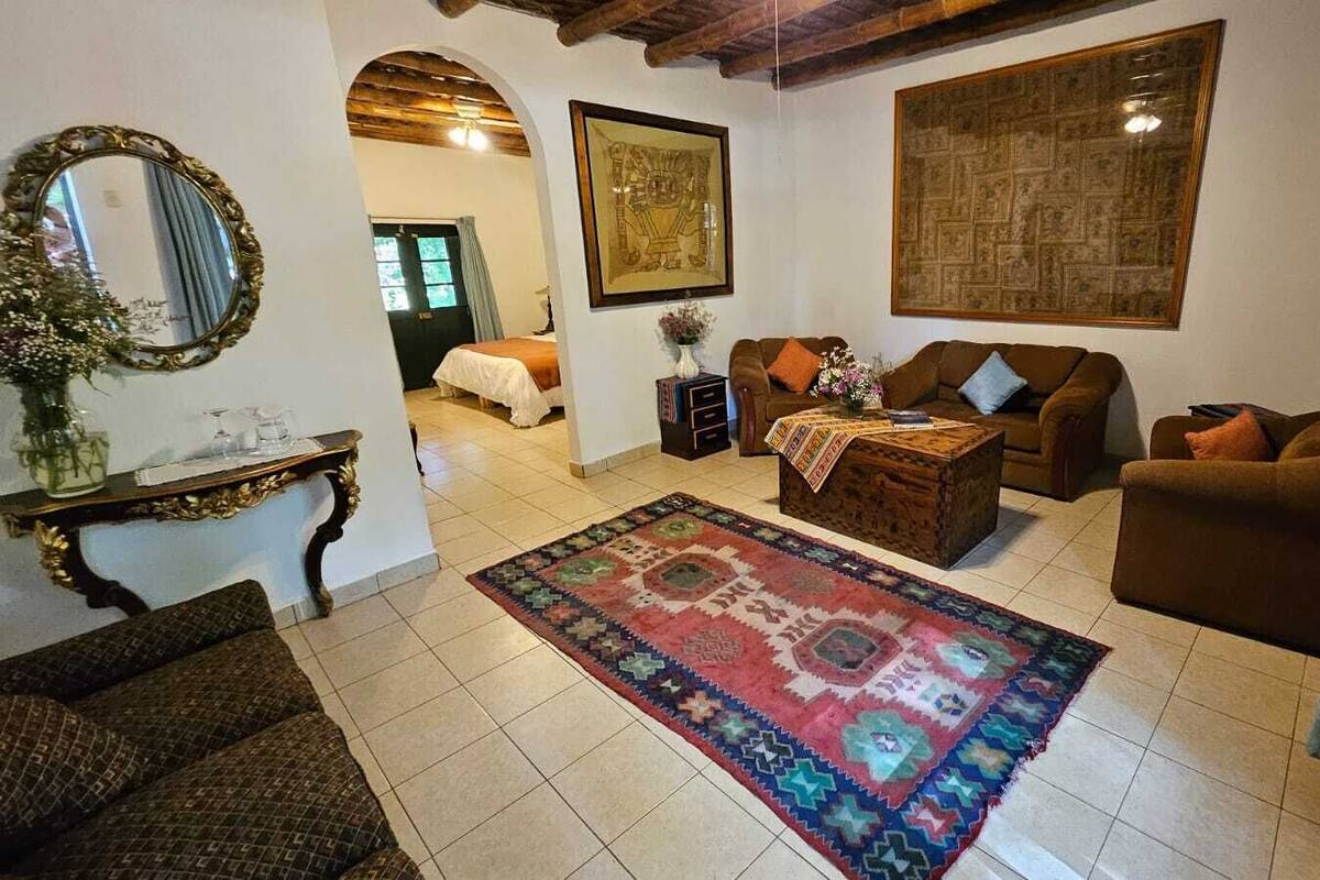 A living room with a patterned rug, two sofas, a coffee table, and a mirror.